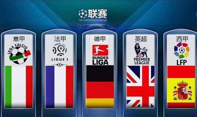 球员的合同